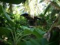 Unser Bungalow im Resort Billy's Place, Pangai auf Lifuka - unser Zuhause für eine paradiesische Woche