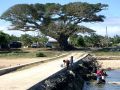 Dorfleben auf der Südsee-Insel Foa - im mittleren Archipel Ha'Apai des Königreiches Tonga