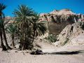 Die Wüste auf der Halbinsel Sinai in Ägypten - in der Oase Ain Hudra
