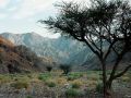Wüste Sinai - drei Tage mit Beduinen und Kamelen unterwegs im Sinai