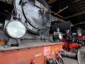 Das Bayerische Eisenbahn Museum in Nördlingen - Dampflokomotiven im Ringlokschuppen, vorn die 38 3199