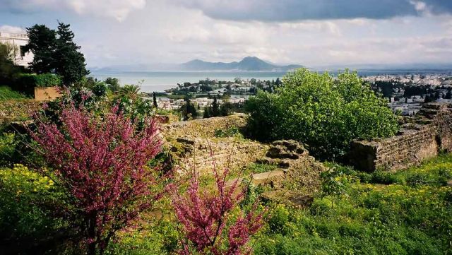 Karthago, Carthage - Blick vom Byrsa-Hügel auf das moderne Karthago, den Golf von Tunis und auf Cap Bon