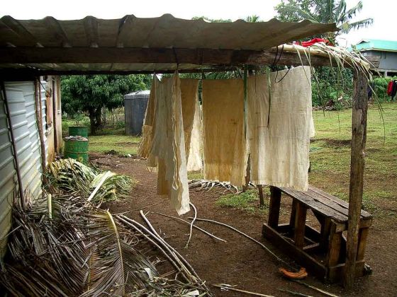 Manuelle Herstellung der begehrten und kostbaren 'Tapa Cloth - Pangai, Insel Eua, Königreich Tonga