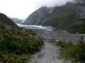 Fox Glacier Valley Walk und Fox Glacier im Westland National Park, Neuseeland