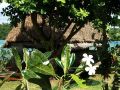 Traditionelles Tongan Fale - Lucky Beach auf Vava&#039;u