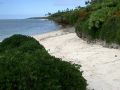 Strand an Billys Place auf Lifuka - Archipel Ha&#039;apai, Tonga