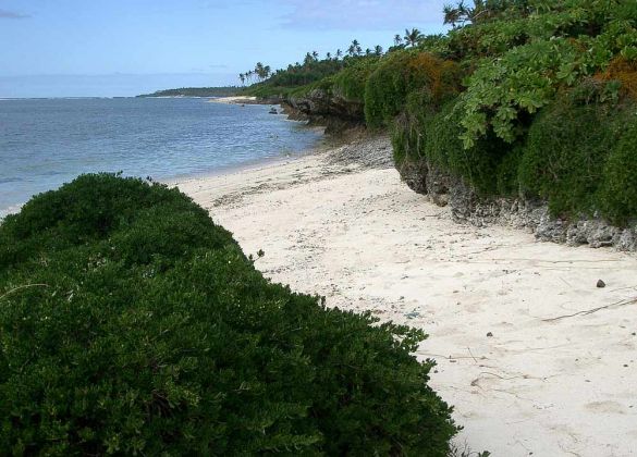 Strand an Billys Place auf Lifuka - Archipel Ha'apai, Tonga