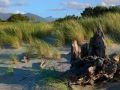 Der Haast Beach - Southwest New Zealand World Heritage Area