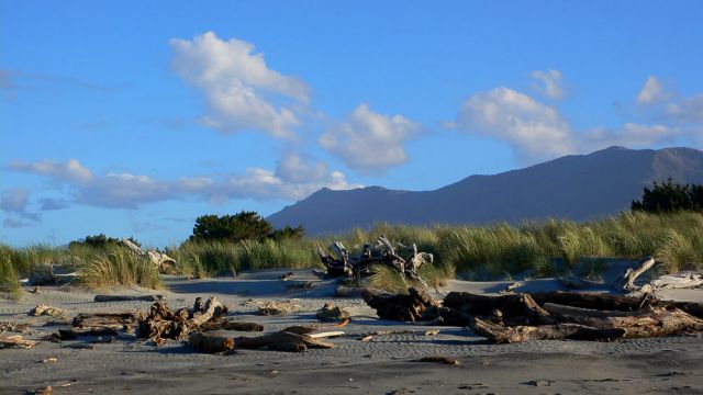 Der Haast Beach - Southwest New Zealand World Heritage Area