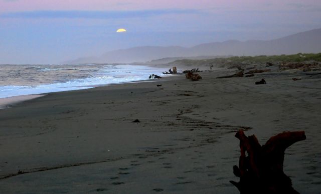 Blue, Hour, der Mond über dem Haast Beach - Jackson Bay, Westküste der Südinsel Neuseelands