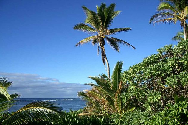 Die Palmen wiegen sich im Wind - Billy's Place nahe Pangai auf der Südsee-Insel Lifuka im Königreich Tonga.