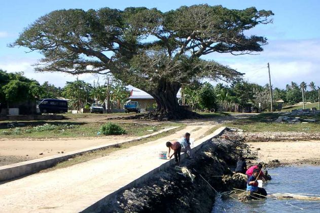 Dorfleben auf der Südsee-Insel Foa - im mittleren Archipel Ha'Apai des Königreiches Tonga