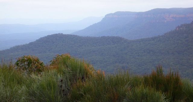 Das Jamison Valley in den Blue Mountains - New South Wales, Australien