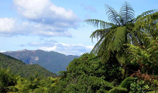 Waimango Vulcanic Valley, Overlook - Rotorua, Neuseeland