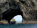 Motukokako Island oder Piercy Island - durchfahrt durch das Hole in the Rock - Bay of Islands, Neuseeland