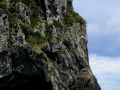 Motukokako Island oder Piercy Island - Durchfahrt durch das Hole in the Rock - Bay of Islands, Neuseeland