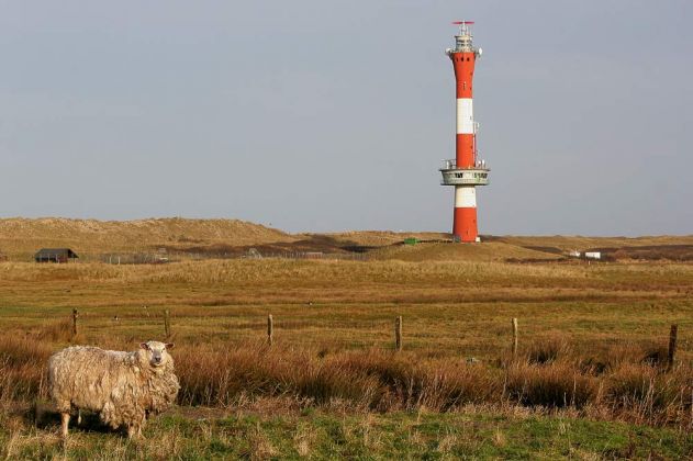 Neuer Leuchtturm Wangerooge - Nordseeinsel Wangerooge