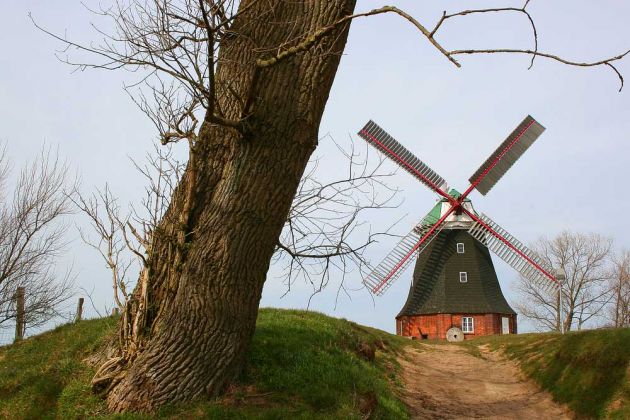Die Holländer-Windmühle von Stove, Baujahr 1889, Höhe 15 Meter - Molenbarg zwischen Wismar und Neubuckow am Salzhaff gegenüber der Insel Poel