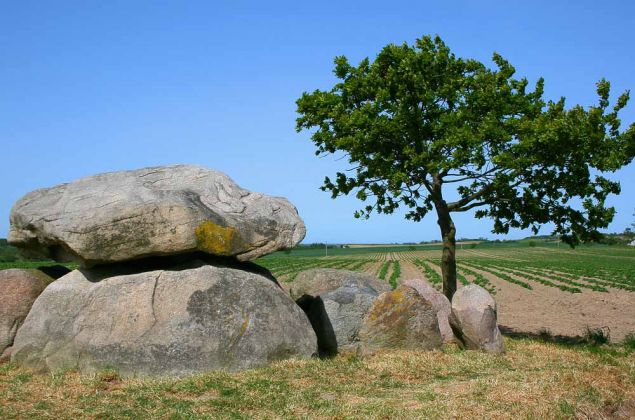 Ostseebad Rerik am Salzhaff - eines von acht Großsteingräbern der Jungsteinzeit von 3500 - 2900 v.Chr. nahe Rerik, auch Hünengräber genannt