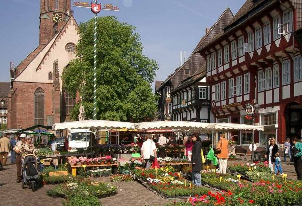 Bierstadt Einbeck - der Marktplatz