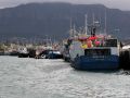 Hout Bay - im Fischerei-Hafen
