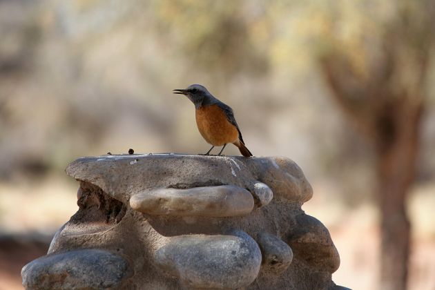 Sesriem - Namib-Naukuft National Park