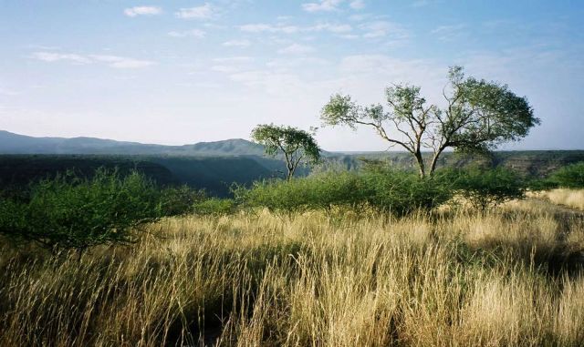 Awash National Park, Äthiopien - Savanne