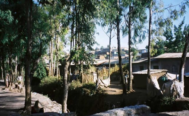 Harar, ausserhalb der Stadtmauer - Äthiopien