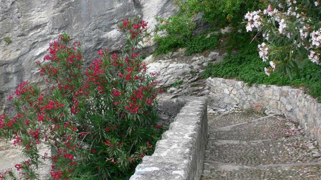 Malcesine, die Burg der Scaliger, Treppe zum Burghafen - Gardasee