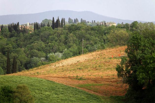 San Gimignano, die Landschaft an der  Via Vecchia per Poggibonsi