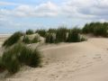 Sandstrand bei Hoorn, Terschelling