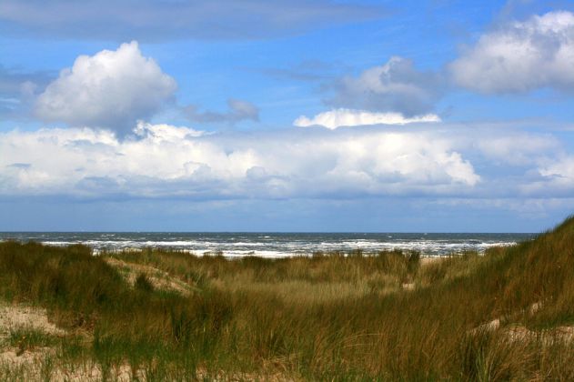 Urlaub Insel Terschelling Niederlande - Formerum, Strand und Dünen
