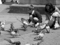 Bremen 1963 - Tauben füttern auf dem Marktplatz