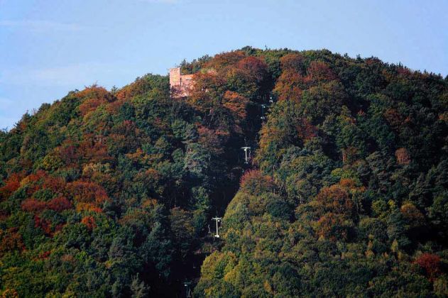 Weinreise in die Pfalz - Burgruine Rietburg