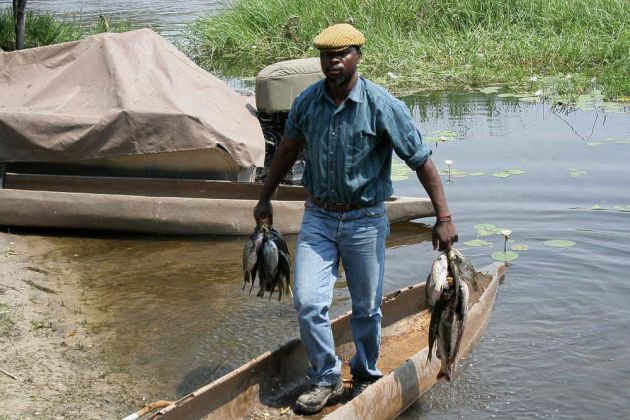 Ein einheimischer Fischer mit seinem Fang Im Okawango Delta