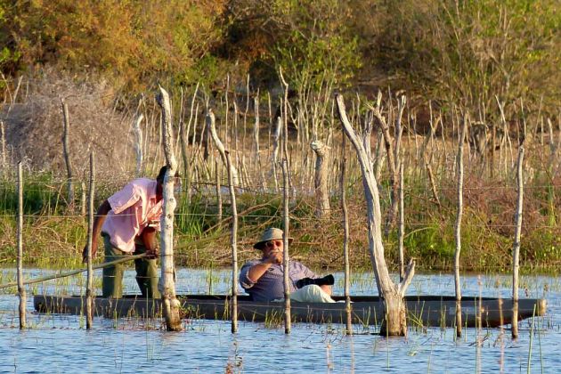 Im Okawango Delta in Botswana - unser Autor Helmut Möller ist im Mokoro auf Vogelpirsch 