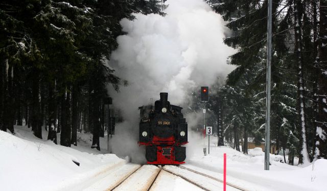Winterdampf auf der Brockenbahn - ein Sonderzug mit der Mallet-Lokomotive 99 5901 erreicht den Bahnhof in Schierke