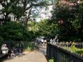 Brooklyn Heights Promenade - New York City