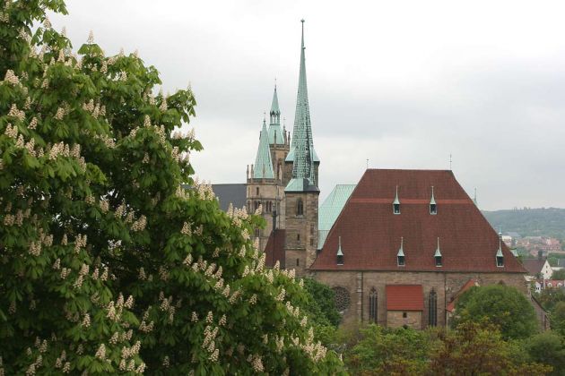 Erfurt - die Türme des Doms St. Marien und der Pfarrkirche St. Severi auf dem Domberg
