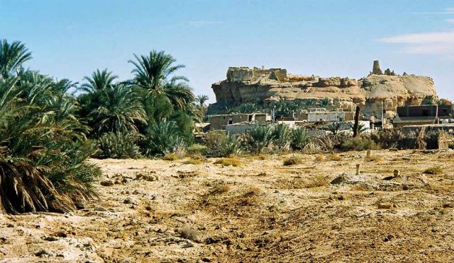 Die Sahara Oasen Ägyptens - Oase Siwa