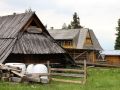 Goralen-Holzhäuser auf dem Gubałówka, Zakopane