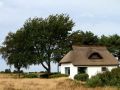 Insel Hiddensee  -Traditionelles Reetdachhaus