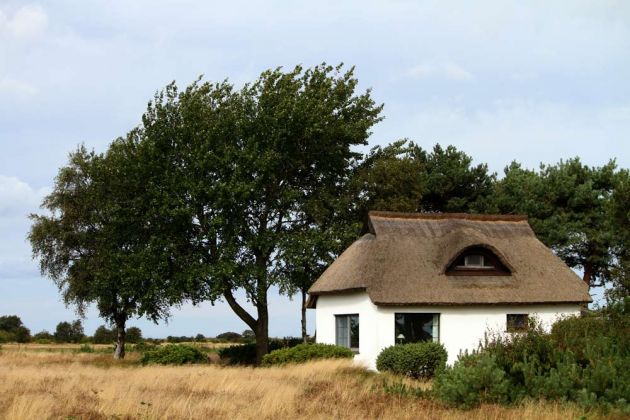 Insel Hiddensee  -Traditionelles Reetdachhaus