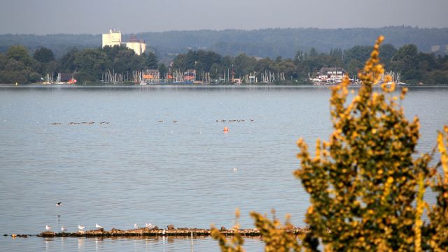 Dümmer See - Urlaubsort Lembruch, Blick auf Olgahafen