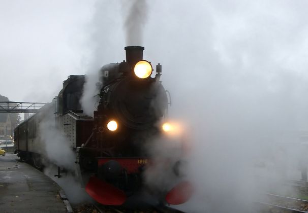 Die Angelner Dampfeisenbahn - die Dampflok S 1916 'die schöne Schwedin' am Kappelner Nordhafen ist vor dem Start der Sonderfahrt in Dampf eingehüllt