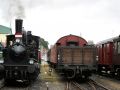 Die Angelner Dampfeisenbahn - die kleinere Dampflokomotive F 654, liebevoll 'Julchen' genannt, bei Rangierfahrten am Lokschuppen in Kappeln
