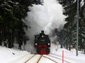 Harzer Schmalspur Bahnen - Malletlok 99 5901 