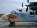 Harbin Y-12-II der Tongan Air