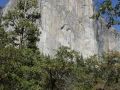 El Capitan, Blick vom Northside Drive, Yosemite Valley - Yosemite National Park