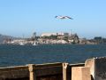 Alcatraz in der San Francisco Bay - Blick vom Aquatic Park Pier, San Francisco